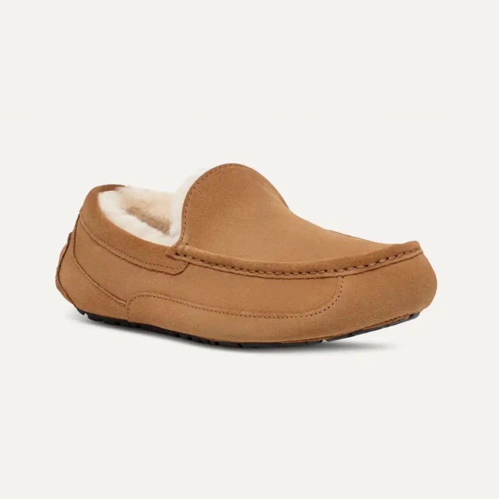 NWOT Men’s Ascot Slipper